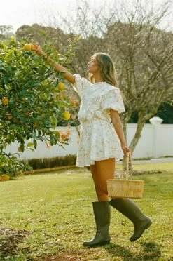 Avelina Dress (Petite) -SABO™ Shop 0acc8b28 bcd9 42e2 a60e 79e460ddd124