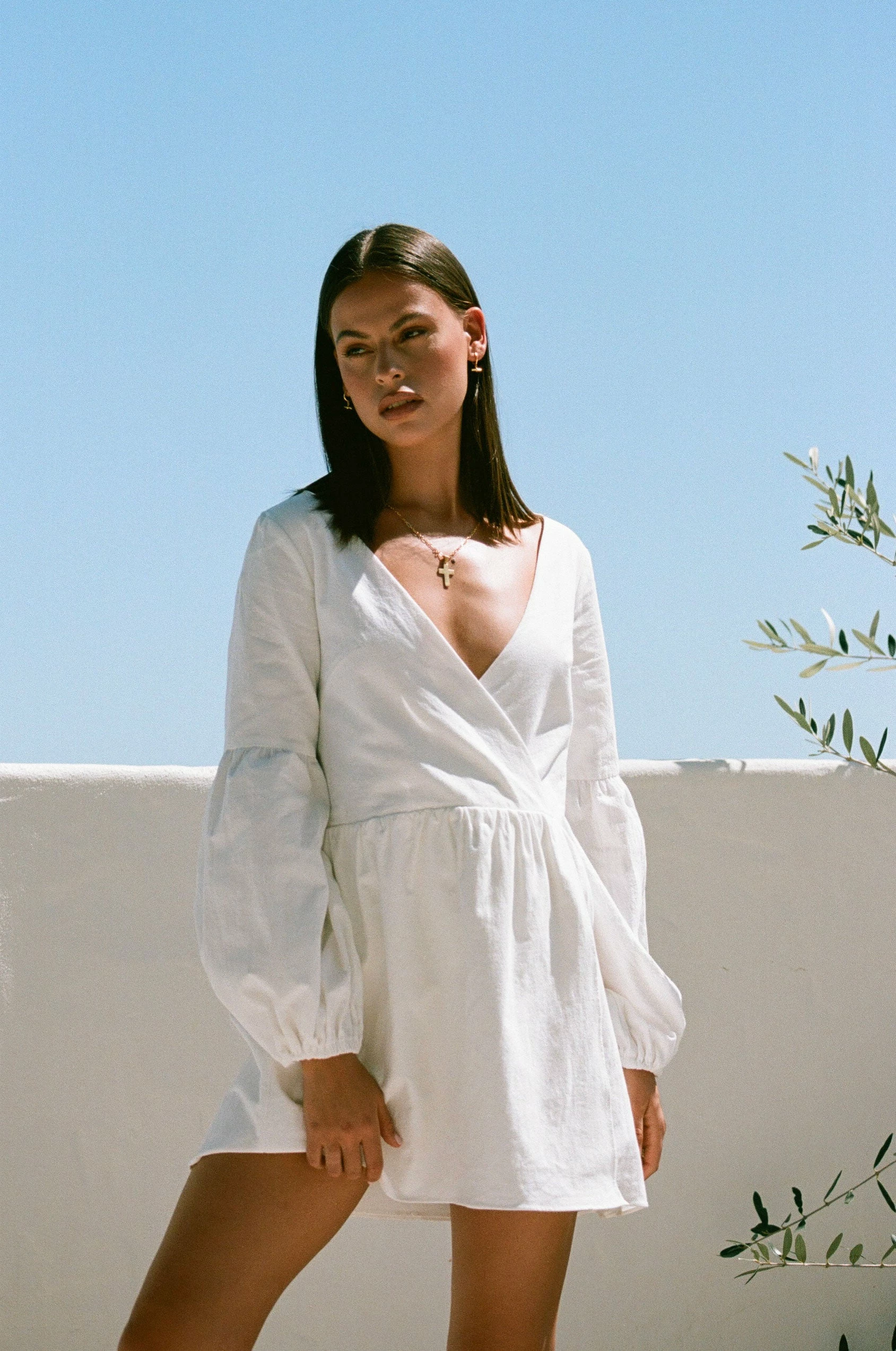 Charlotte Dress 3 Charlotte Dress