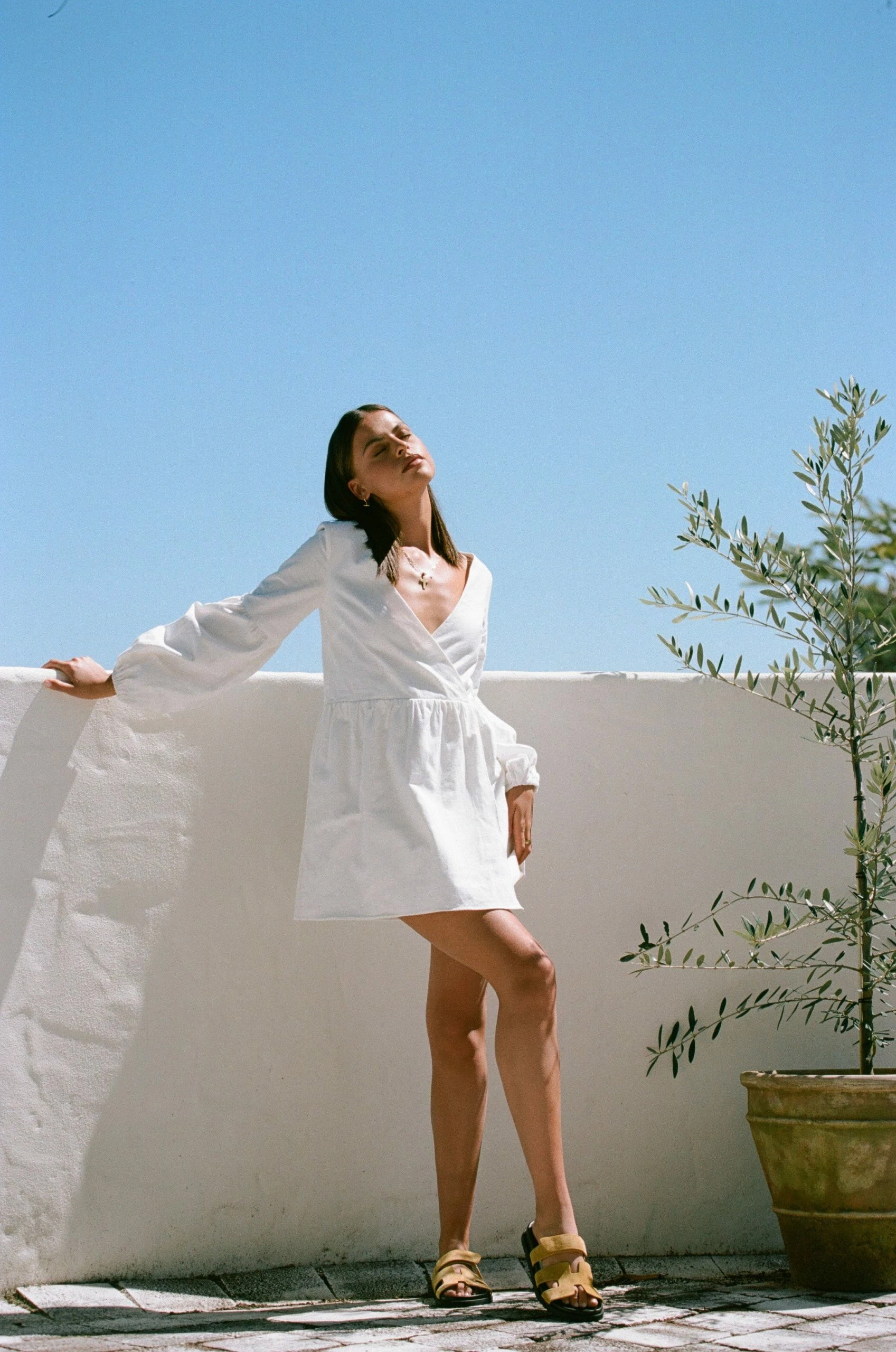 Charlotte Dress 6 Charlotte Dress - Image 4