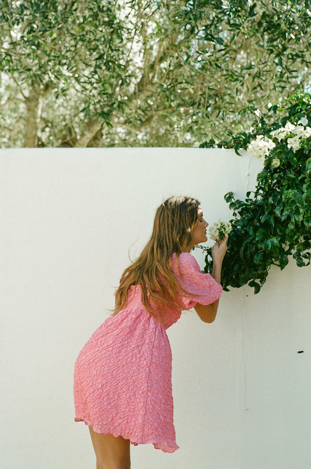 Vellona Dress 7 Vellona Dress - Image 5