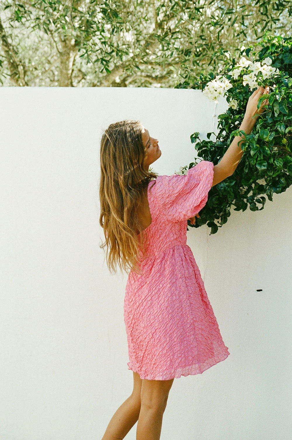 Vellona Dress 5 Vellona Dress - Image 3